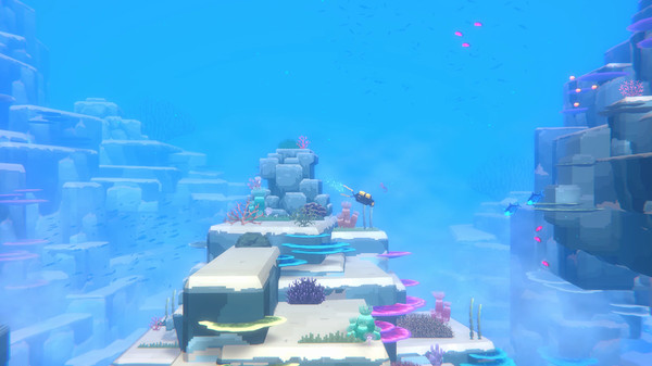 DAVE THE DIVER设置调整与视频核对与检查清单